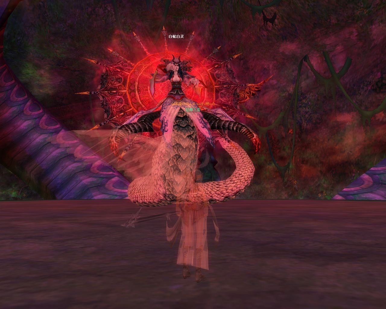 SRO[2008-04-27 15-54-14]_63.jpg