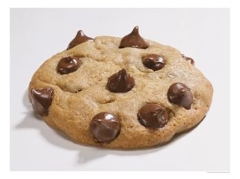 Chocolate-Chip-Cookie-on-White-Background-Photographic-Print-C12005484.jpeg