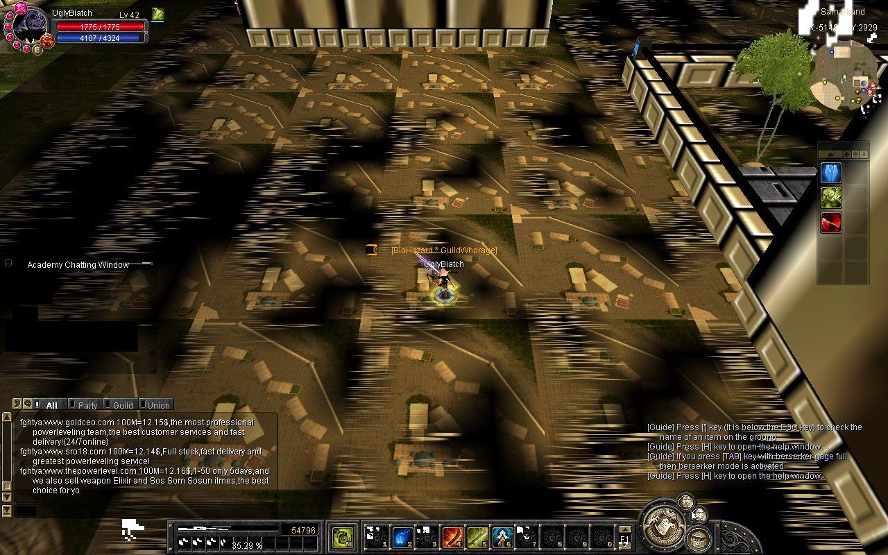 SRO[2009-01-05 14-07-41]_66.jpg