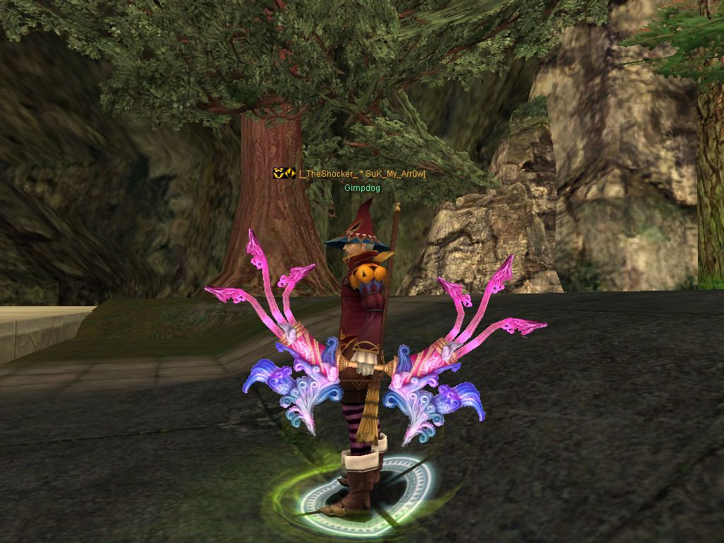 SRO[2009-04-14 22-12-41]_01.jpg