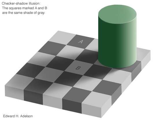 1252346124239.jpg