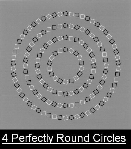 1252345749543.jpg