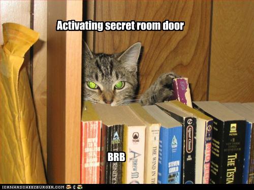 funny-pictures-cat-activates-secret-door.jpg