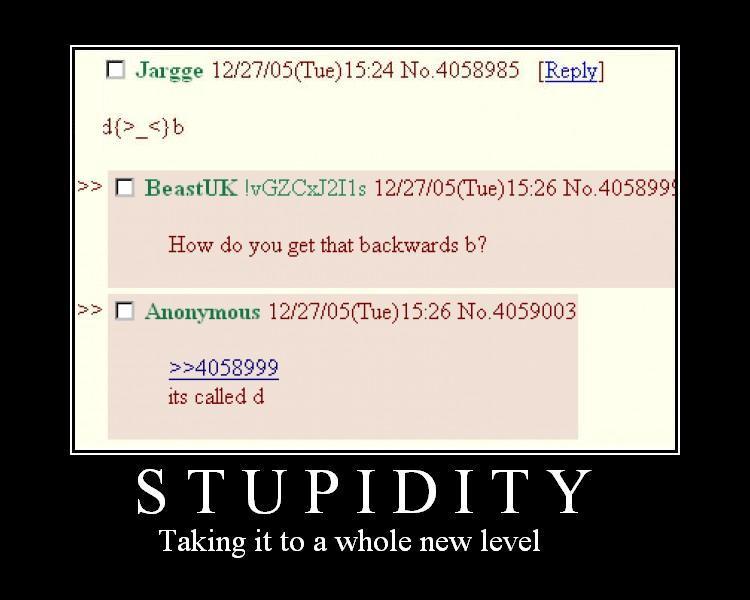 Stupidity.jpg
