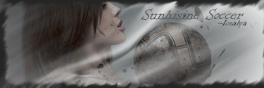 Sunshine-Soccer.gif
