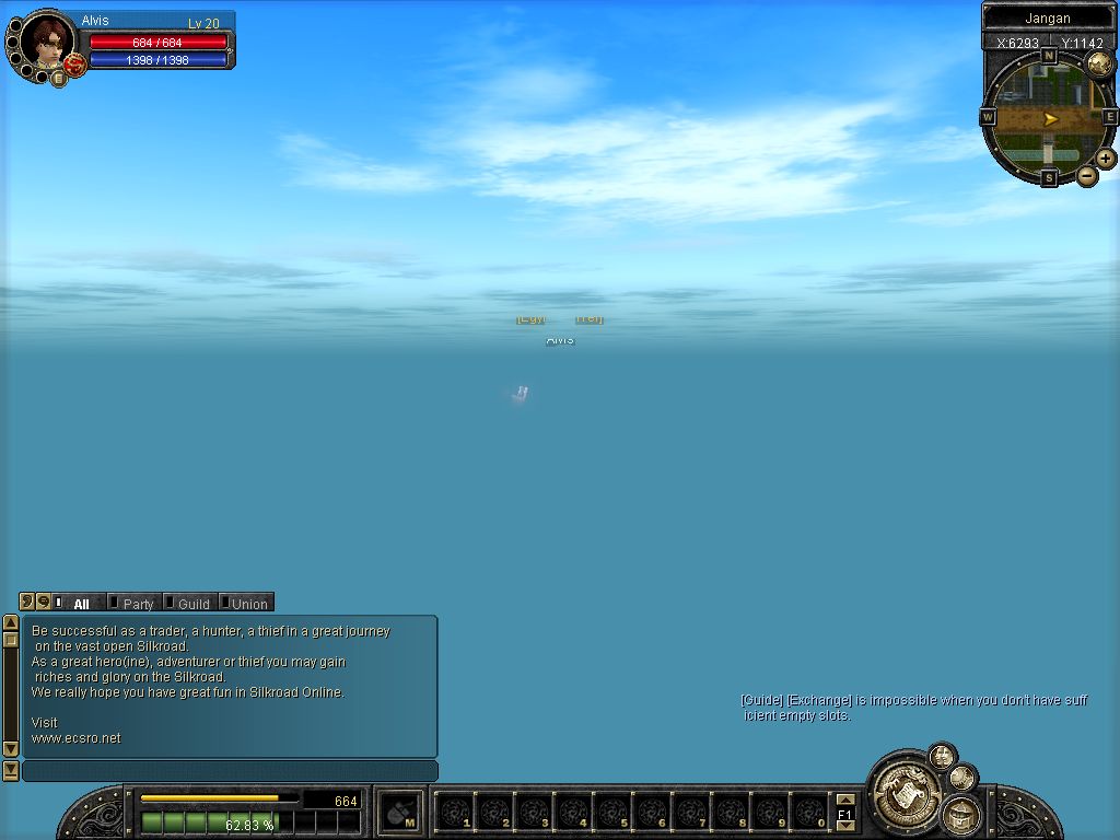 SRO[2010-01-07 21-22-03]_84.jpg