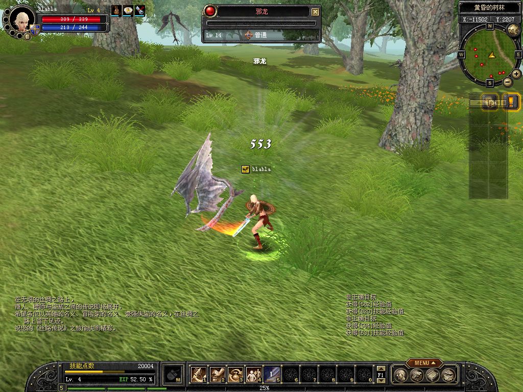 SRO[2010-01-15 22-10-03]_72.jpg