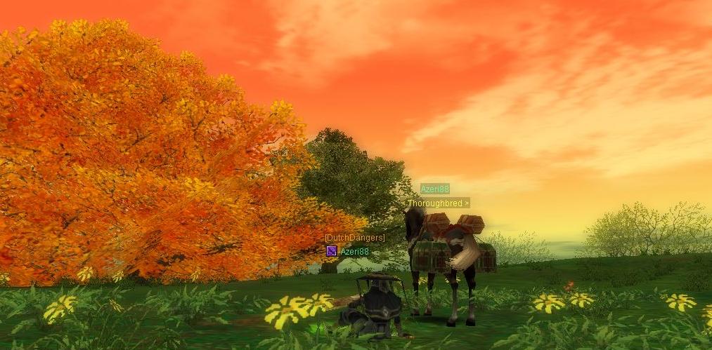 SRO[2007-03-25 14-38-26]_82.JPG