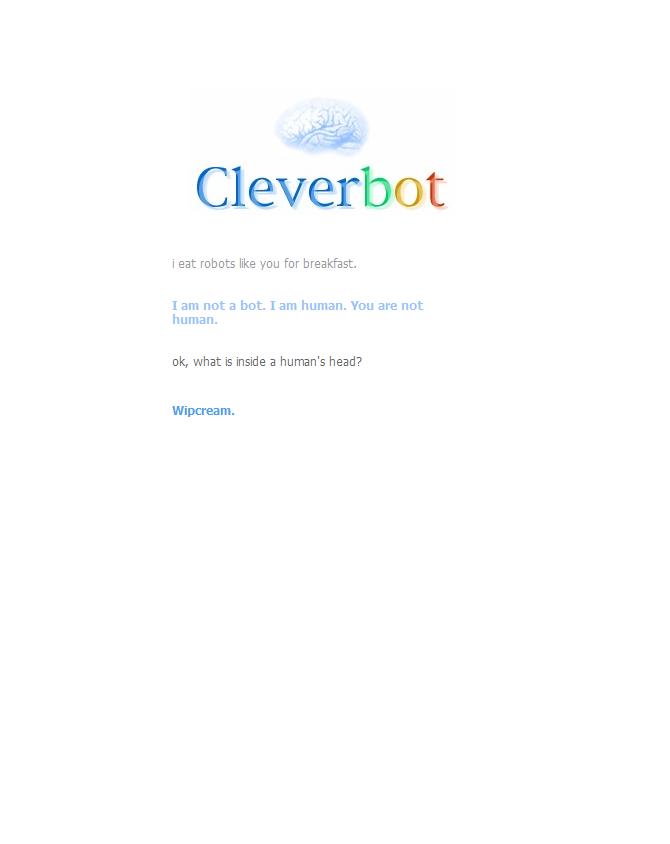 Cleverbot.JPG