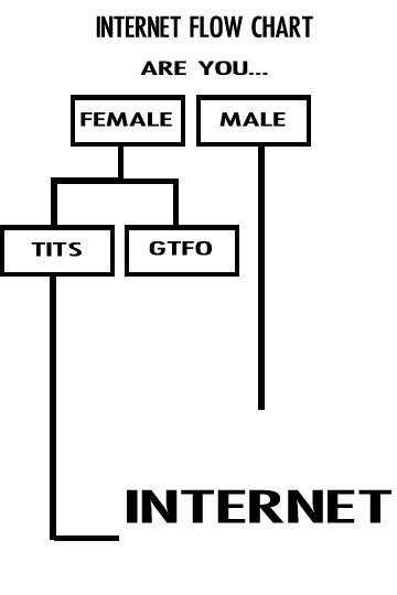internet chart flow.jpg